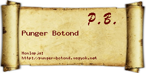 Punger Botond névjegykártya